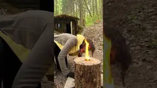 She will survive in any forest🔥