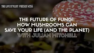 The Future Of Fungi: How Mushrooms Can Save Your Life (And The Planet) W/ Julian Mitchell #255