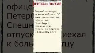 Дубровский. Глава 3. Пересказ за 30 секунд. 