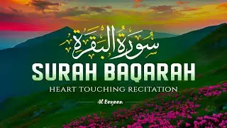 Surah Al-Baqarah (سورة البقرة) | Full Majestic Recitation in a Soothing, Heartfelt Voice | Al Bayaan