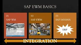 SAP EWM Basics #sap #sapewm #ewm #learn2win #learntowin #sapmm