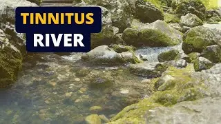 Sound Therapy For Tinnitus | Water In A River