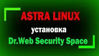 Установка, настройка и удаление антивируса Dr Web Security Space для Linux в Astra Linux