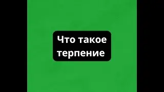 Что такое терпение Мусин Алмат Жумабекович