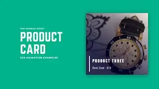 Product Card Text Overlay Animation | CSS Animation Tutorial