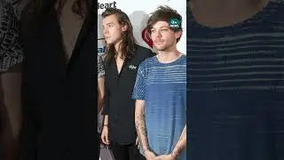 Louis Tomlinson has addressed the 'conspiracy theory' of a romantic relationship with Harry Styles.