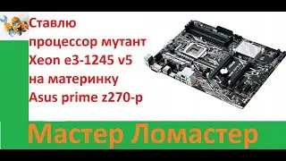 Ставлю процессор мутант Xeon e3 1245 v5 на материнку Asus prime z270 p