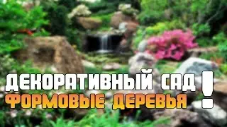 Декоративный сад - Формовые деревья !