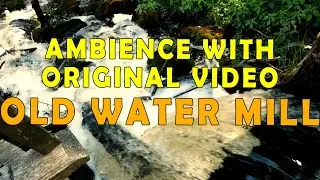 Old Water Mill Relaxing Ambience Video of Water flowing