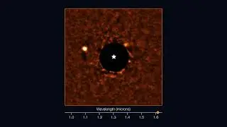 The atmosphere of the exoplanet orbiting AF Leporis