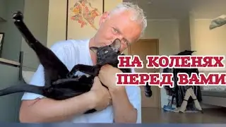 НУЖЕН СОВЕТ || НЕ ЗНАЮ, КАК ПОСТУПИТЬ …