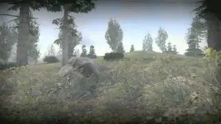 S.T.A.L.K.E.R. Shadow of Chernobyl 2007