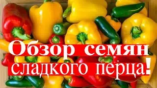 ПЕРЦЫ СЛАДКИЕ,  ТОЛСТОСТЕННЫЕ, МЯСИСТЫЕ. ТопСад