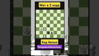 Telegram: Albinachess #chess #шахматы #chorts