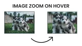 Image Zoom on Hover with CSS | HTML