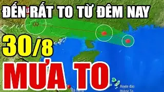 Dự báo thời tiết hôm nay và ngày mai 30/8 | Dự báo thời tiết trong 3 ngày tới #thời tiết