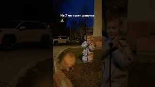 Папа купи купи пожалуйста 🙏ребята дайте будем писать в комах купи и он увидит 