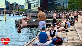 Kalvebod Brygge🇩🇰Harbour Beach, Copenhagen Denmark, Bikini Beach Walk | June 2024 | 4K HRD