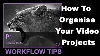 How to Organize Your Premiere Pro Projects
