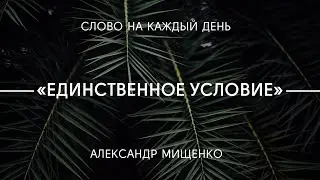Единственное условие | Александр Мищенко