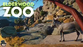 Planet Zoo Arid Animal Pack! Building A Somali Wild Ass Habitat | Elderwood Zoo