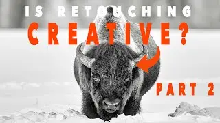 The Emotional Side of Wildlife Photography