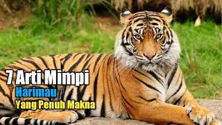 7 Arti Mimpi Harimau yang Penuh Makna