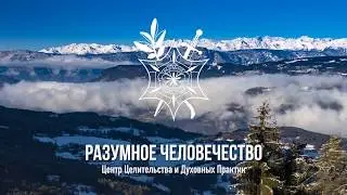 Полезно ли Молоко
