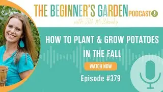 Planting & Growing Fall Potatoes