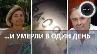 Самолет с россиянами разбился в Афганистане: бизнесмен и его жена погибли, экипаж выжил