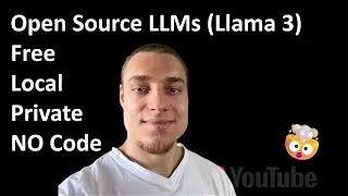 The easiest way to run open source LLMs privately for free and locally without code