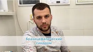 Брахицефалический синдром