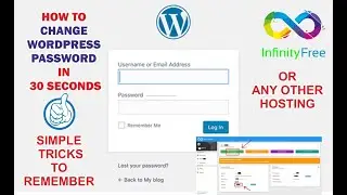 Quick Fix: How to Change Your WordPress Login Password in 30 Second