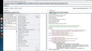 Burp Suite 2: Repeater Tool
