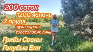 Такого Вы больше нигде не увидите !!! Фазенда в Краснодаре на 2 Гектарах