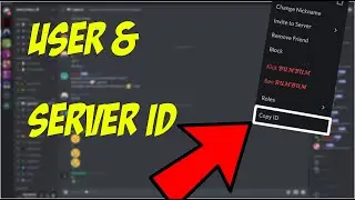 How to copy a user or a server id on discord?!?!?!?