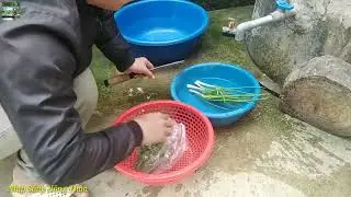 Tiết Canh Cháo Lòng Ăn Mừng Bàn Ghế Mới Sửa Không Gian Bếp   Nhịp Sống Nông Thôn
