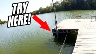 You Can't Catch Any Fish? Try Fishing Next To a Dock! (Beginner Tip)