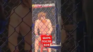 Шара Буллет сразу после нокаута в UFC