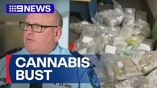 Queensland police seize more than half a million dollars worth of marijuana | 9 News Australia