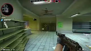 zuhn runs into invisible man in csgo