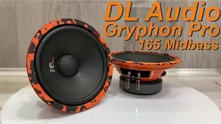 DL Audio Gryphon Pro 165 Midbass - краткий обзор
