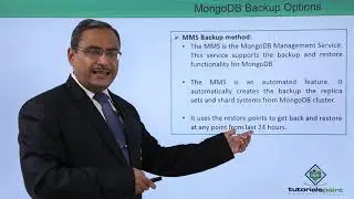 MongoDB Backup Options