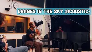 mondays with meebi: cranes in the sky raw acoustic cover