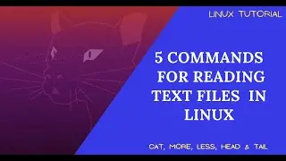 How to View Text File Contents in Linux | Read Text Files in Linux