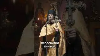 ЗЕМЛЯ СЕРДЦА НЕ БЫВАЕТ ПЛОДОРОДНА САМА ПО СЕБЕ | ИЕРОМОНАХ ДИОДОР | ВАЛААМСКИЙ МОНАСТЫРЬ