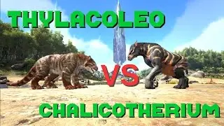 Thylacoleo VS Chalicotherium || ARK: Survival Evolved