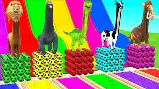 Long Slide Game With Mammoth Elephant Tiger Gorilla Lion T-Rex Buffalo - 3d Animal Long Neck Game