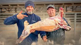 ЭТО ЧИСТО КЛАССИЧЕСКИЙ СПОСОБ ПРИГОТОВЛЕНИЯ МЯСА ! ШАШЛЫК В ГОРАХ КАВКАЗА  