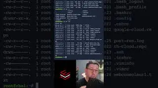 Favorite Linux Commands: ls | RHEL Shorts